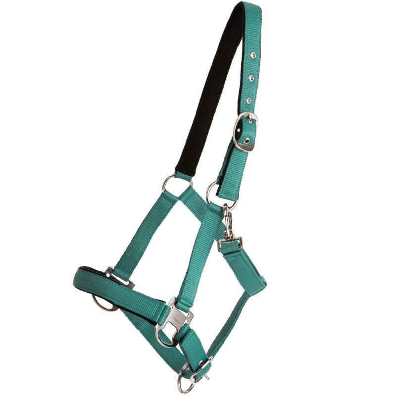 Halter Double Buckle Turquoise