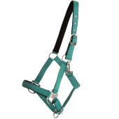 Halter Double Buckle Turquoise Halter Double Buckle Turquoise