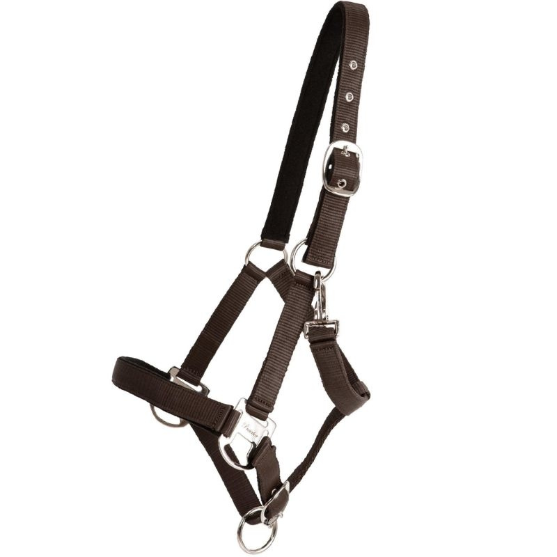 Halter Double Buckle Brown