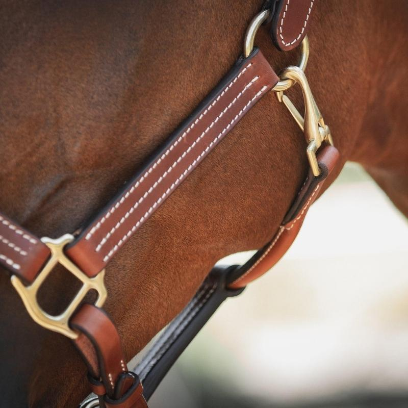 Leather Halter Lexington Supreme Brown