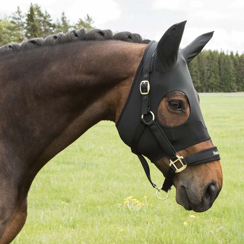 Soothing Hood Spirit with Ears Black
