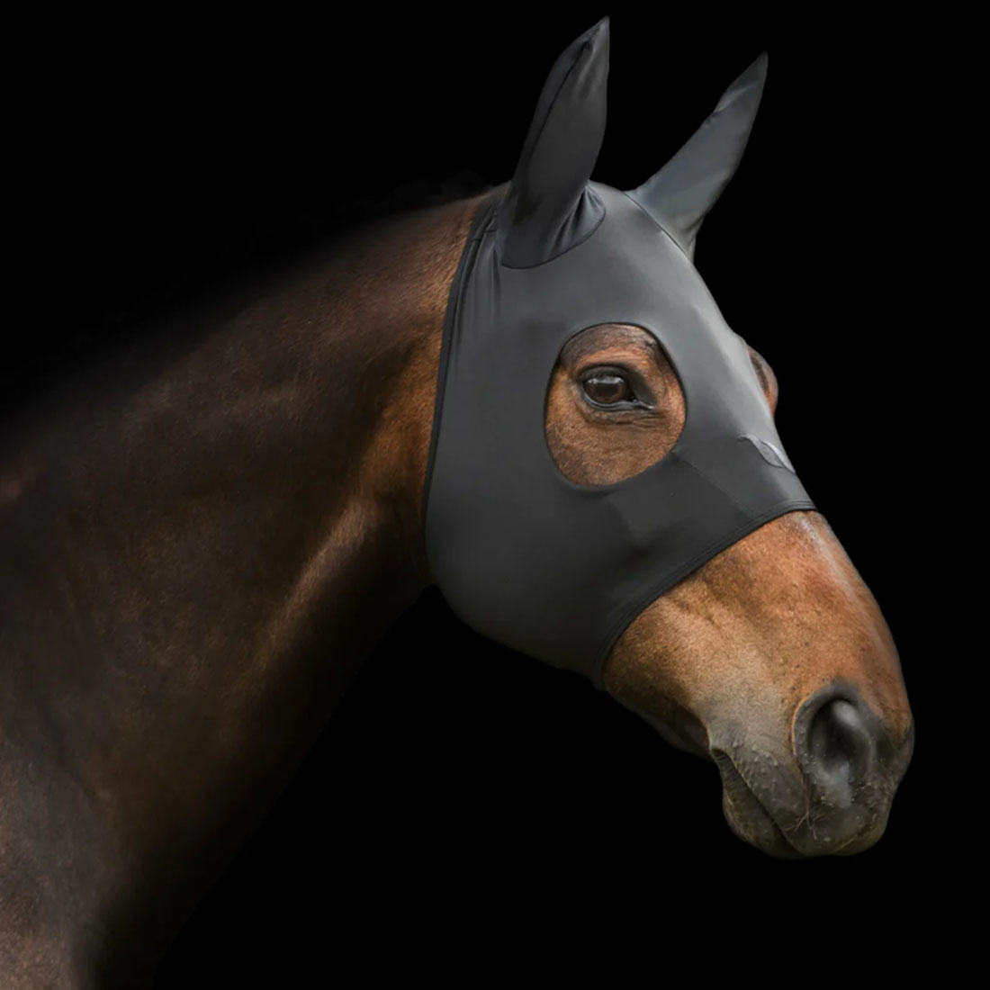 Soothing Hood Spirit with Ears Black