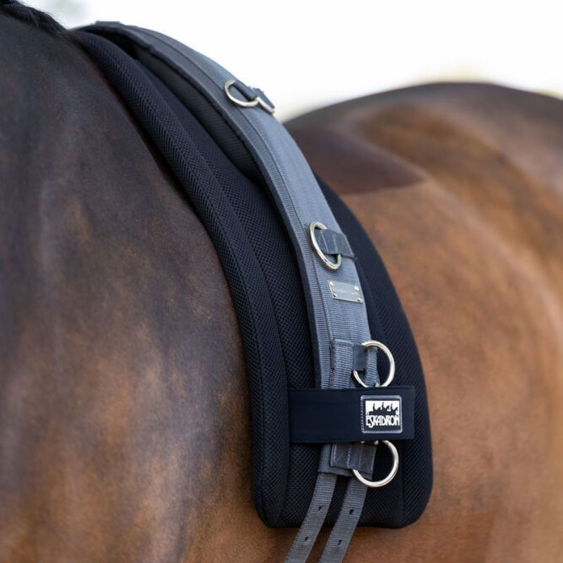 Lunging Pad Mesh Black