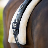 Lunging Pad Roller Navy Blue Lunging Pad Roller Navy Blue