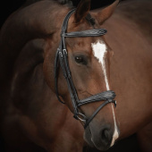Bridle Supreme Fancy Black Bridle Supreme Fancy Black