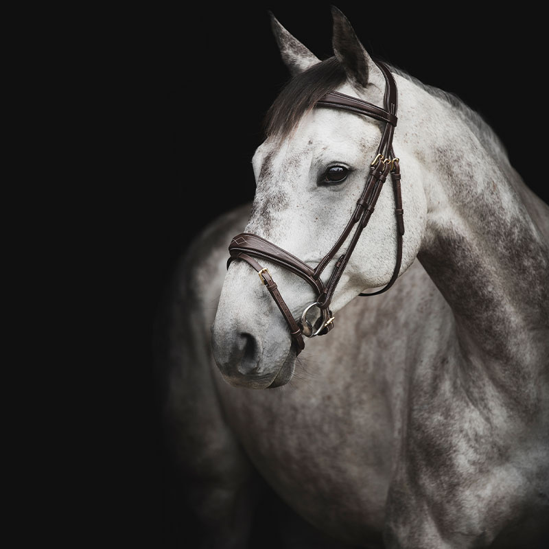Bridle Supreme Fancy Dark Brown