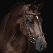 Anatomical Bridle Eccelente Brown Anatomical Bridle Eccelente Brown
