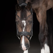 Dressage Bridle Quinsy Supreme Black Dressage Bridle Quinsy Supreme Black