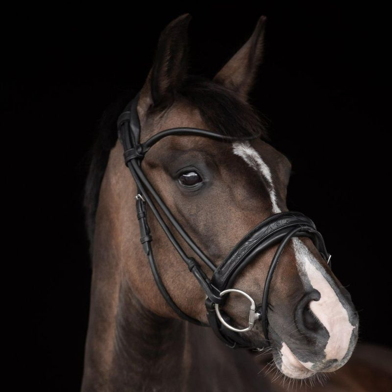 Dressage Bridle Quinsy Supreme Black