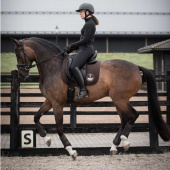 Dressage Bridle Quinsy Supreme Black Dressage Bridle Quinsy Supreme Black