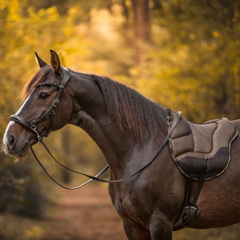 Bareback Pad Dardo Basic Bling