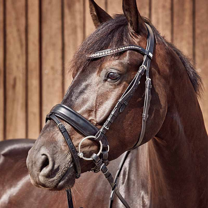 Double Jointed Bit Curved with Loose Rings HG