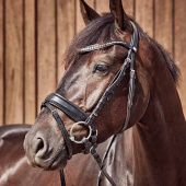 Double Jointed Bit Curved with Loose Rings HG Double Jointed Bit Curved with Loose Rings HG