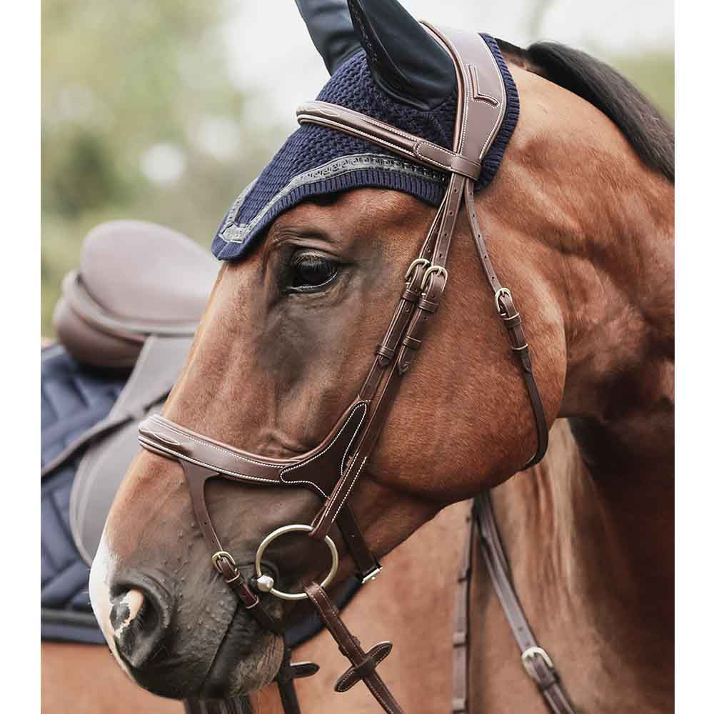 Bridle Fazzino Brown
