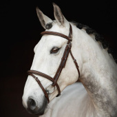 Bridle Fancy Slim Selected Oak Bark/Silver Bridle Fancy Slim Selected Oak Bark/Silver