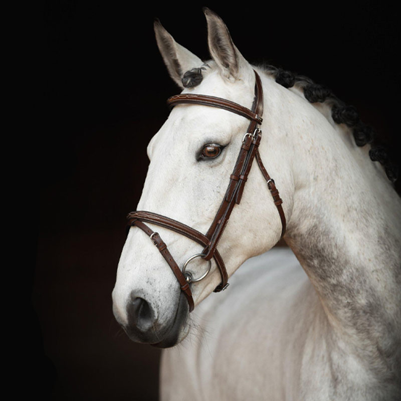 Bridle Fancy Slim Selected Oak Bark/Silver