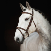 Bridle Fancy Slim Selected Oak Bark/Silver Bridle Fancy Slim Selected Oak Bark/Silver