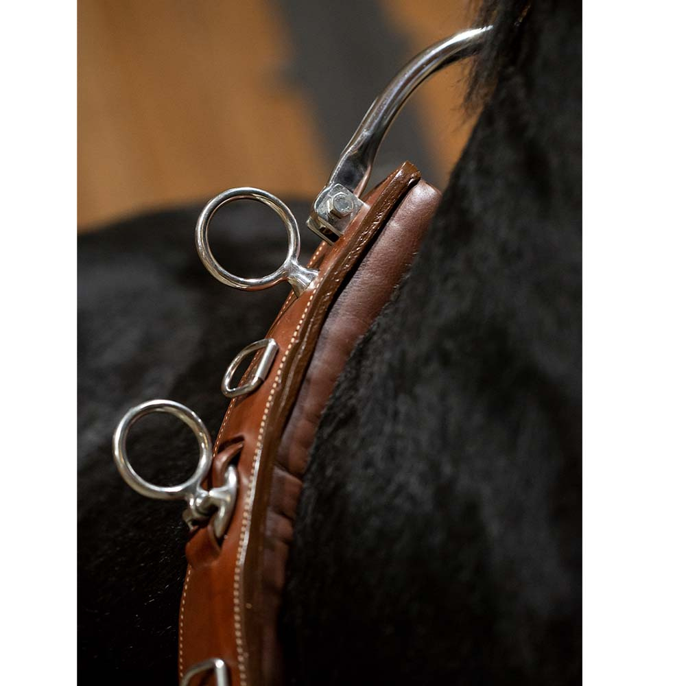 Ground Driving Girth Brown