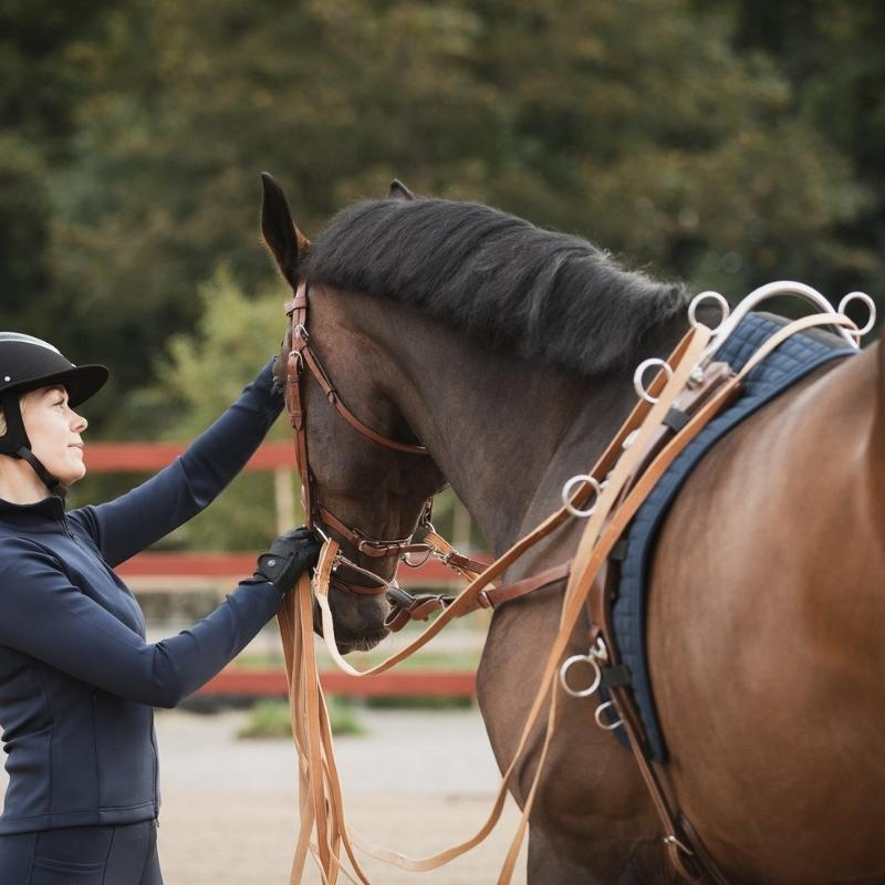 High Terret Bar for Lunging Girth Silver 