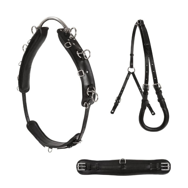 Lunging Girth Shetland/Pony Black