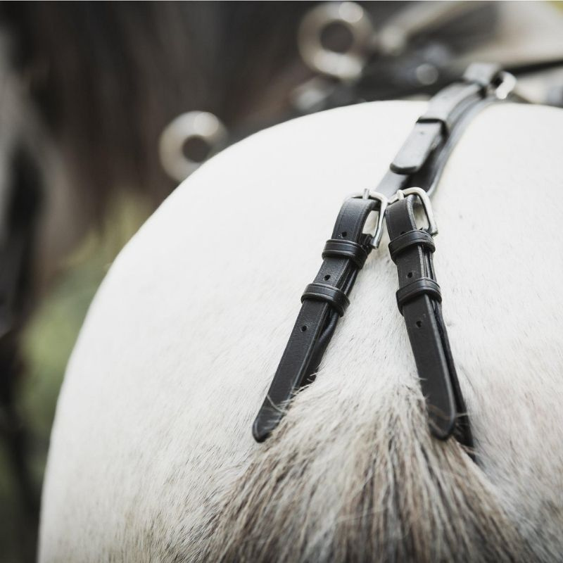 Lunging Girth Shetland/Pony Black