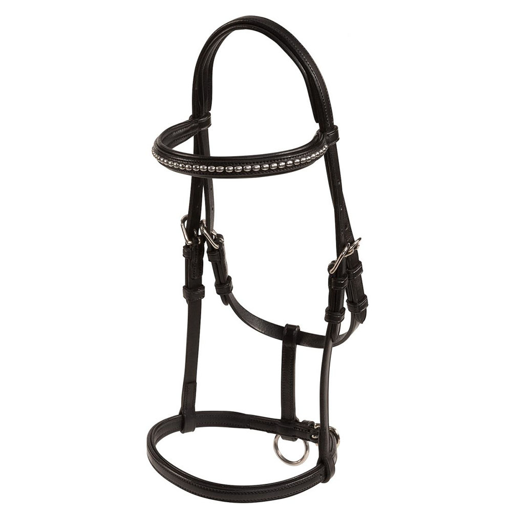 Show Halter Foal Black