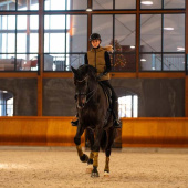 Bandages FIR-Tech Grand 2-pack Beige Bandages FIR-Tech Grand 2-pack Beige