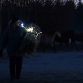 Lamp Light 01 ClipOn Black Lamp Light 01 ClipOn Black