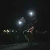 Lamp Light 01 ClipOn Black Lamp Light 01 ClipOn Black