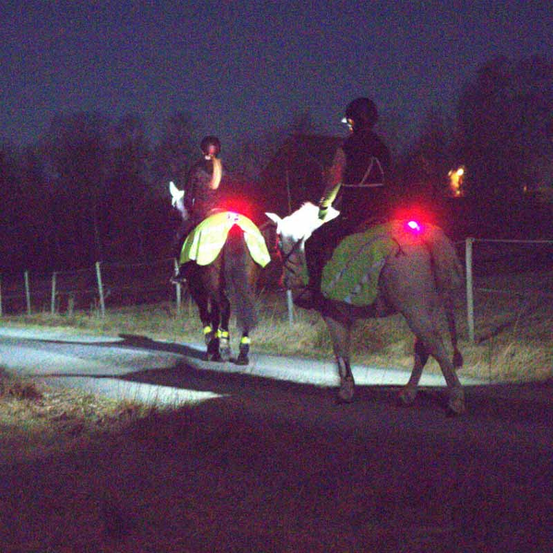 Lamp Light 01 ClipOn Black