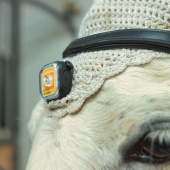 Lamp Light 01 ClipOn Black Lamp Light 01 ClipOn Black