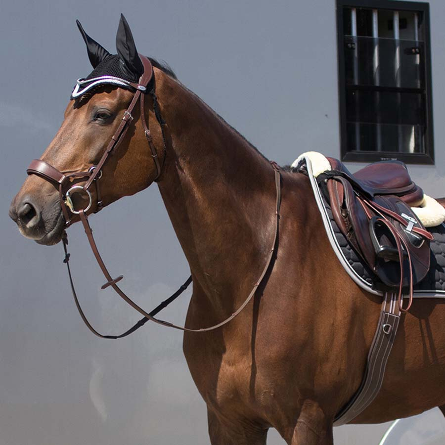 Anatomical Girth Luxury Stitching Dark Brown