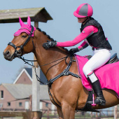 Anatomical Belly Pad Luxury Stitching Black Anatomical Belly Pad Luxury Stitching Black