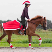 Dressage Saddle Pad Christmas Red/White Dressage Saddle Pad Christmas Red/White