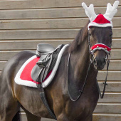 Allround Saddle Pad Christmas Red/White Allround Saddle Pad Christmas Red/White