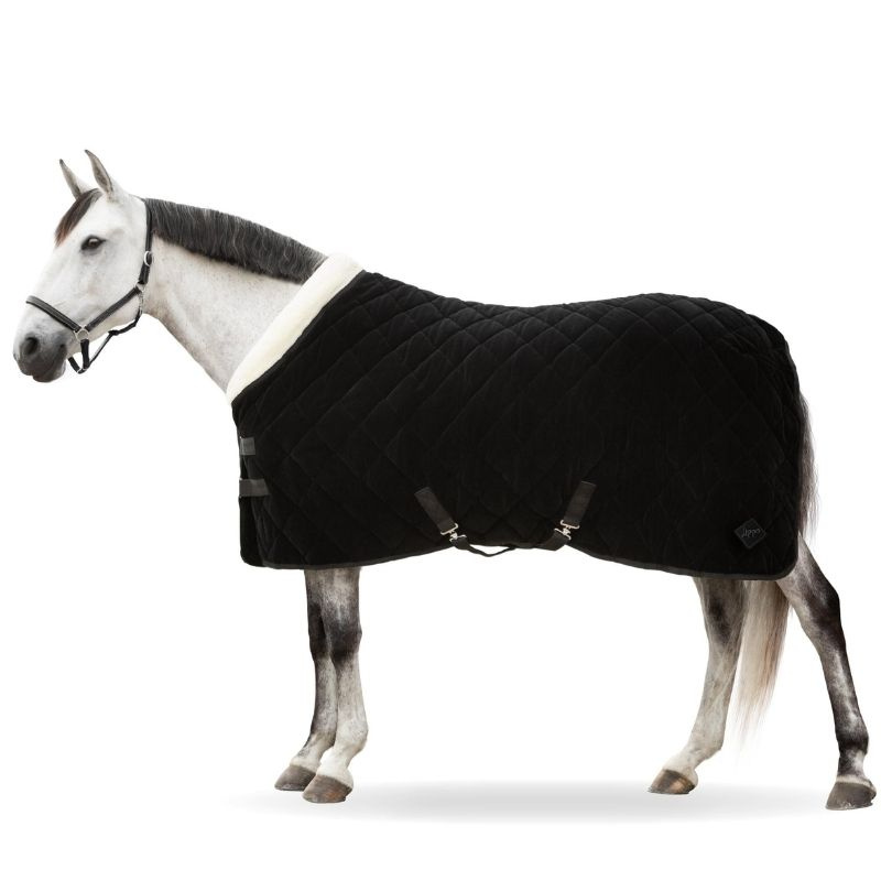Show Rug Black Velvet 150g Black