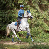 Allround Saddle Pad Eldorado Blue Allround Saddle Pad Eldorado Blue