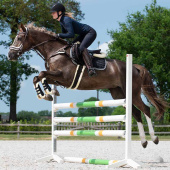 Girth Ontario Fauxfur Brown Girth Ontario Fauxfur Brown