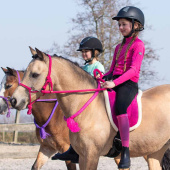 Bareback Pad Fauxfur Pink Bareback Pad Fauxfur Pink