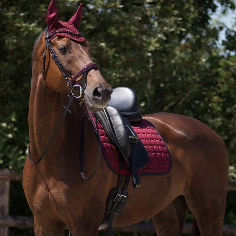 Allround Saddle Pad Florence Burgundy/Navy Blue