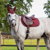 Allround Saddle Pad Florence Burgundy/Navy Blue Allround Saddle Pad Florence Burgundy/Navy Blue