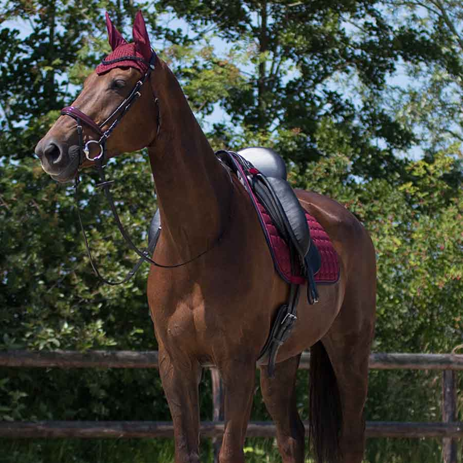 Allround Saddle Pad Florence Burgundy/Navy Blue