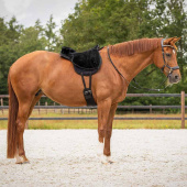 Bareback Pad Super Soft Black/Black Bareback Pad Super Soft Black/Black