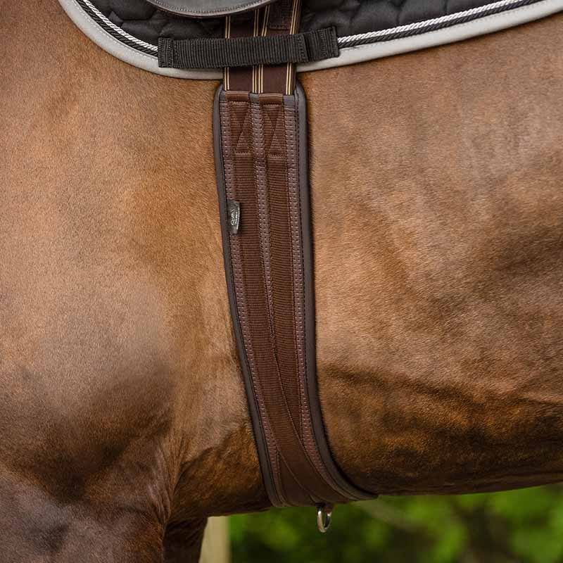 Anatomical Girth Basic Pro Brown