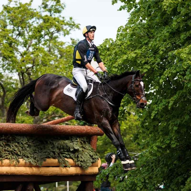 Number Holder Eventing Bib Black