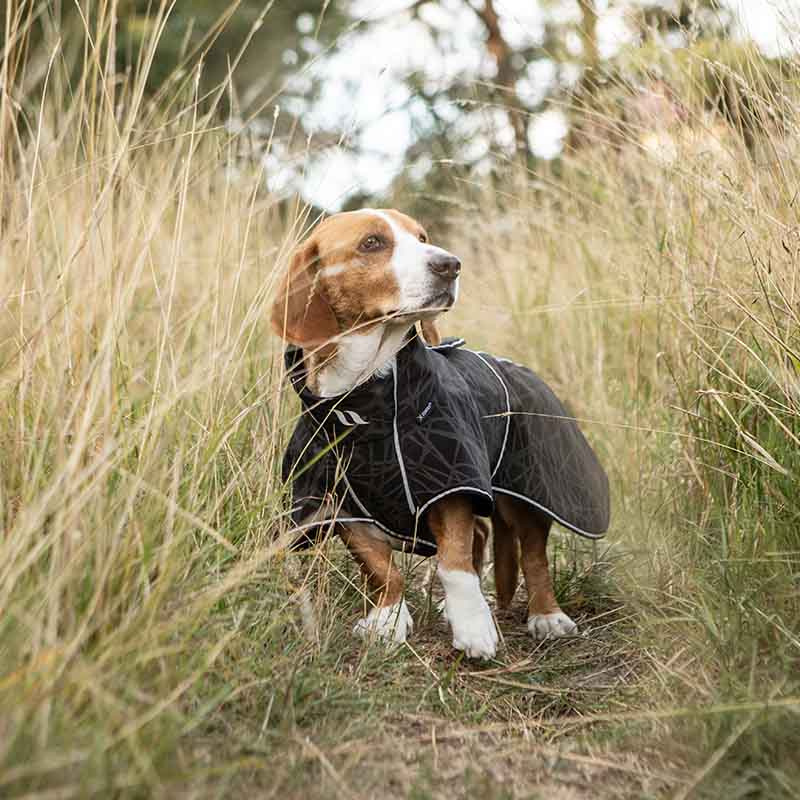 Dog Coat Softshell Buddy 2.0 Long Back Black