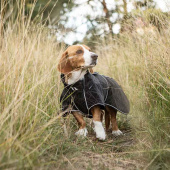 Dog Coat Softshell Buddy 2.0 Long Back Black Dog Coat Softshell Buddy 2.0 Long Back Black