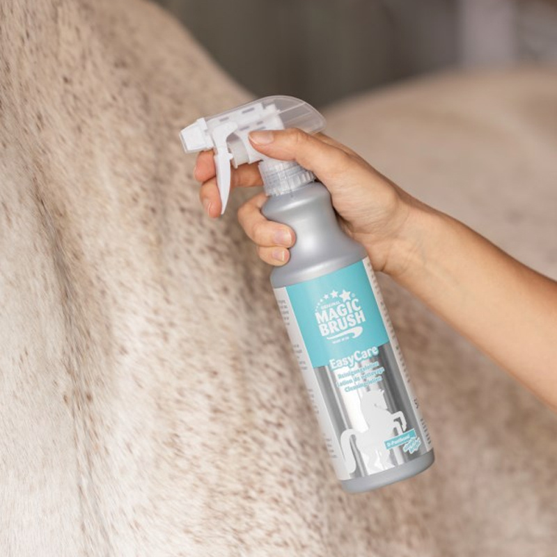 Dry Shampoo Cleaning Lotion 500ml