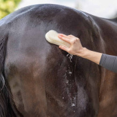 Brush Sustainable Nature Brush Sustainable Nature