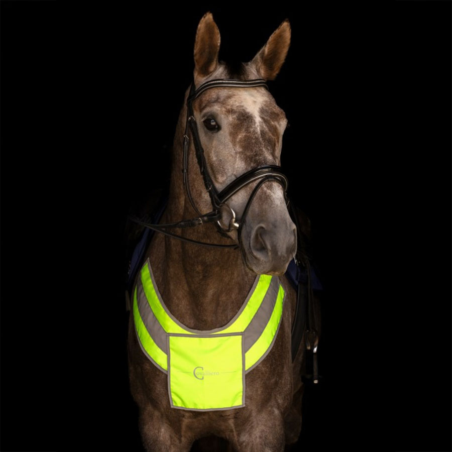 Chest Highly Reflective Yellow